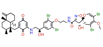 Frondoplysin A